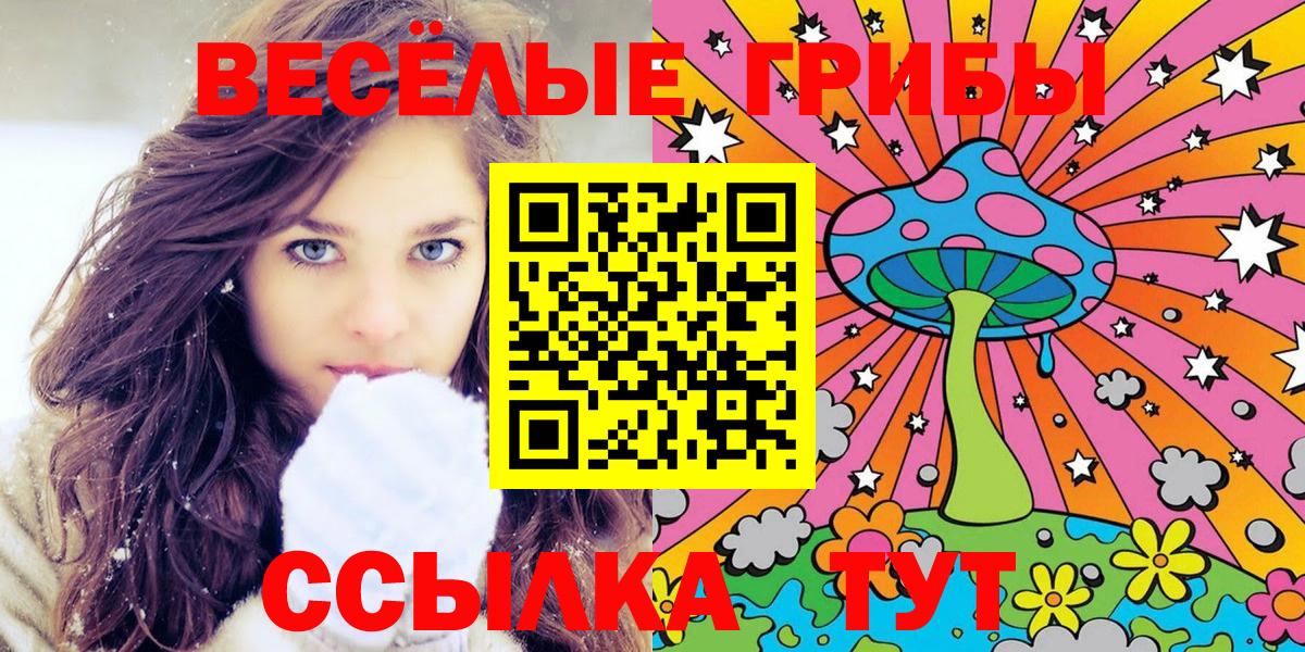 Галлюциногенные грибы Psilocybe  Вход с VPN  Грязи 