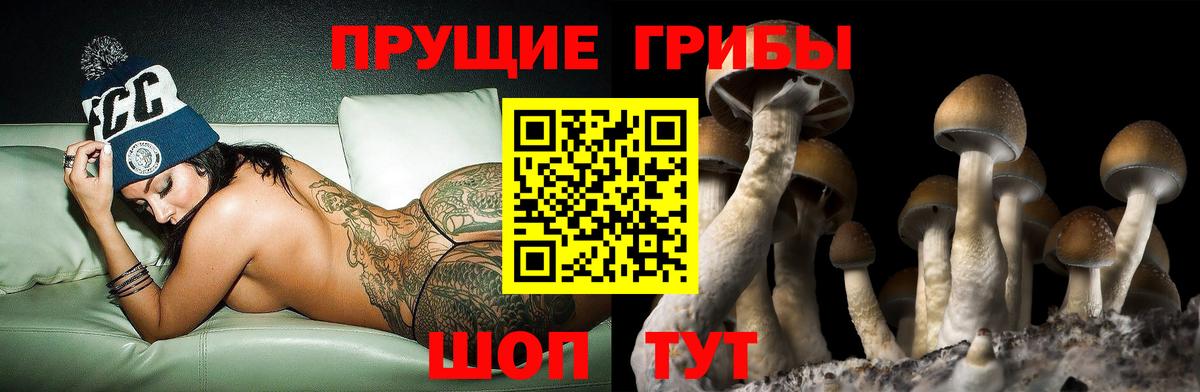 Псилоцибиновые грибы Psilocybe Грязи
